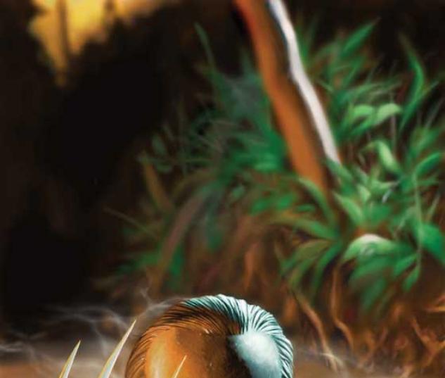 WOLVERINE (2003) #9 COVER
