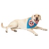 Captain America Bandana by Fetch available at PetSmart