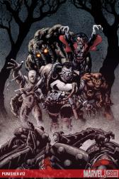 Punisher #12 