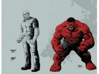Hulk (2008) #25 (HARDMAN WRAPAROUND COVER)