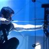 The Punisher
