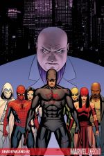 Shadowland (2010) #2