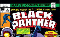 Black Panther (1976) #2 Cover