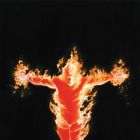 Torch: Flame Back On