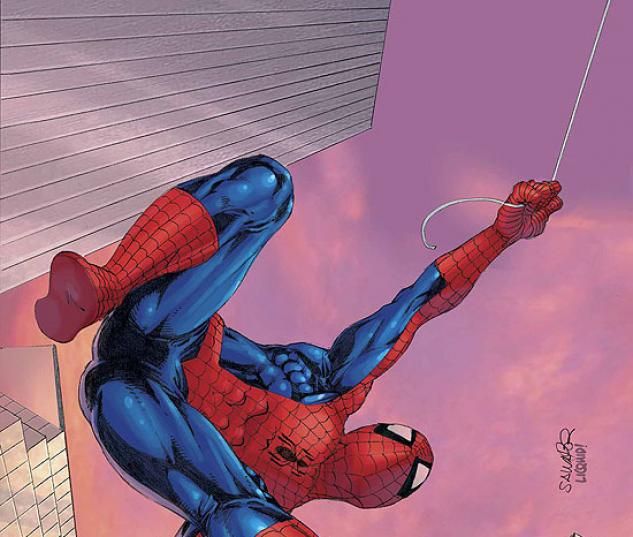 SPIDER-MAN UNLIMITED (2007) #9 COVER