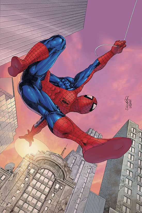 SPIDER-MAN UNLIMITED (2007) #9 COVER