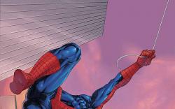 SPIDER-MAN UNLIMITED (2007) #9 COVER