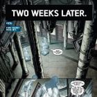 PREVIEW: Secret Warriors #16
