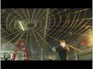 Spider-Man 3 Movie Blog: George Stevens