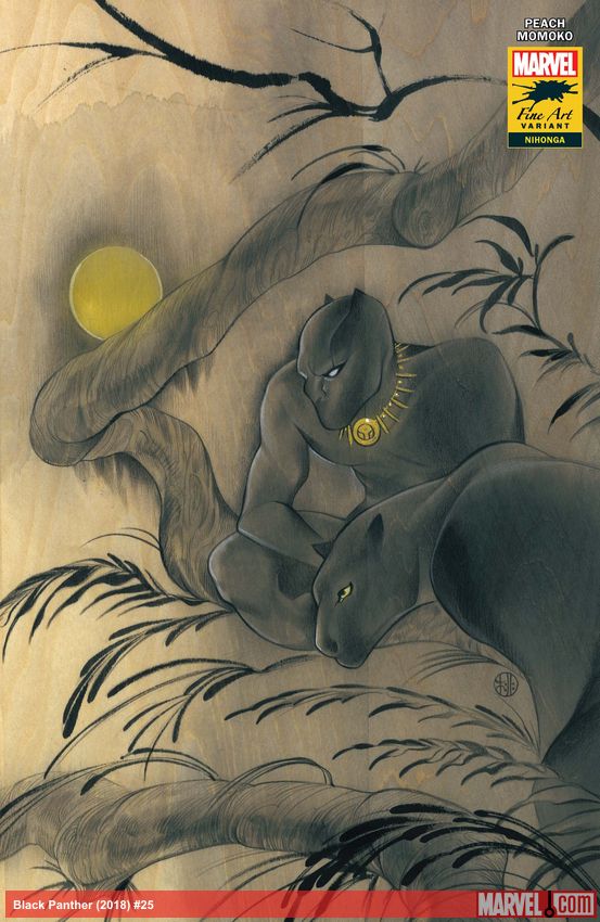 Black Panther (2018) #25 (Variant)