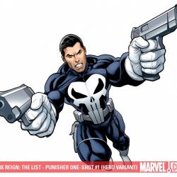 DARK REIGN: THE LIST - PUNISHER ONE-SHOT #1 (HERO VARIANT)