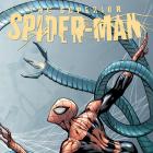 Superior Spider-Man (2013) #1, Campbell Midtown Variant