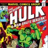 INCREDIBLE HULK (2009) #206 COVER