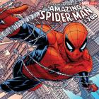 Joe Quesada Covers Amazing Spider-Man #700