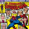 Amazing Spider-Man (1963) #121