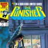 PUNISHER #4