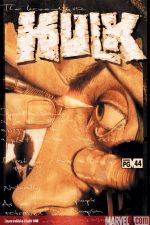 Incredible Hulk (1999) #44