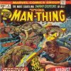 MAN-THING #8