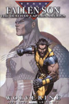 Civil War: Fallen Son - The Death of Captain America (2007) #1 (Variant Cover)