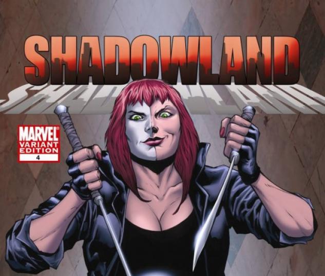 Shadowland (2010) #4 (VARIANT)