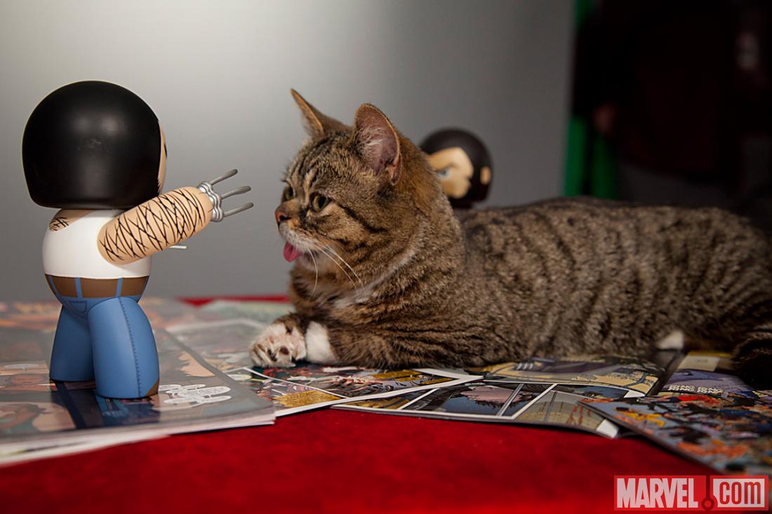 Lil Bub and Wolverine at Marvel HQ