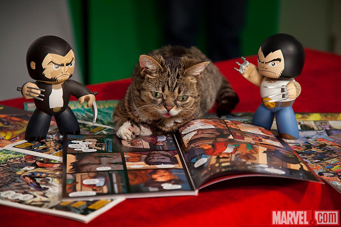 Lil Bub and Wolverine at Marvel HQ
