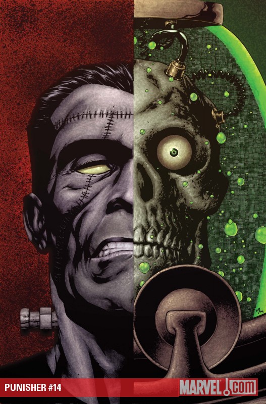 Punisher (2008) #14