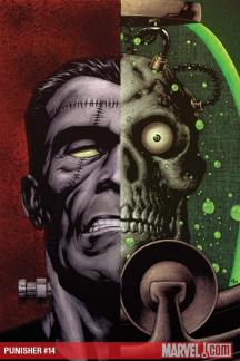 Punisher (2008) #14
