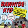 Rawhide Kid #29