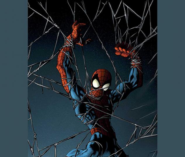 ULTIMATE SPIDER-MAN (2006) #74 COVER