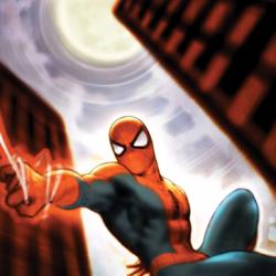 SPIDER-MAN UNLIMITED (2003) #1 COVER