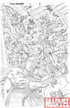 Untitled Image