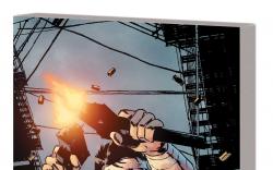 The Punisher by Greg Rucka Vol. 2 TPB