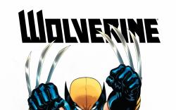WOLVERINE 3 MCGUINNESS VARIANT (NOW, WITH DIGITAL CODE)