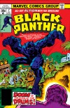 Black Panther (1976) #7