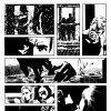 Captain America: Who Will Wield  the Shield? (2009) #1