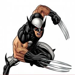 DARK REIGN: THE LIST - WOLVERINE ONE-SHOT #1 (HERO VARIANT)