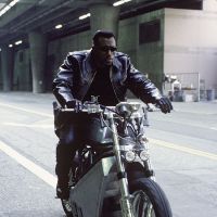 Blade on a bike