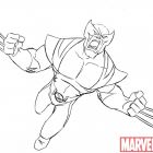 Animated Exclusive: Wolverine & S.H.I.E.L.D.
