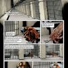 THE STAND: AMERICAN NIGHTMARES #2 preview page 4