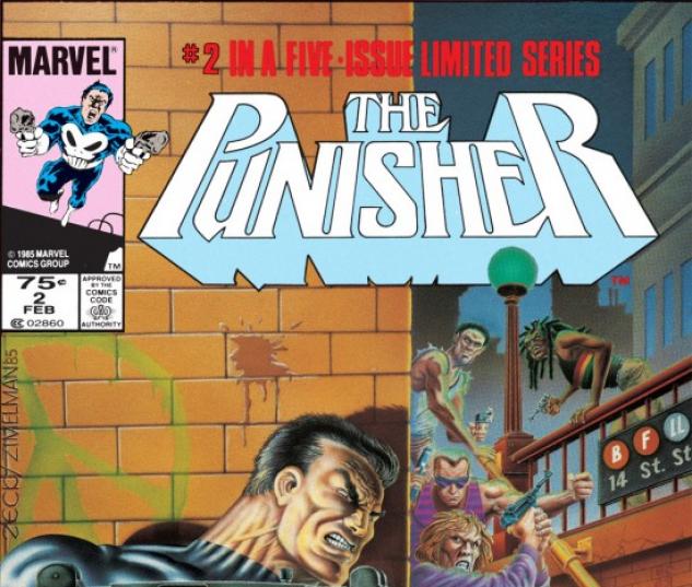 PUNISHER #2