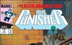 PUNISHER #2