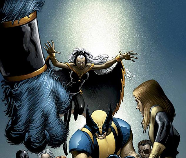 WOLVERINE (2005) #25 COVER
