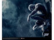 Spider-Man 3 Movie: Spider-man in Black Crouching