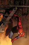 Marvel Adventures Spider-Man (2005) #41