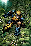 New Avengers (2004) #5