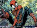 Marvel Adventures Spider-Man (2005) #30 Wallpaper