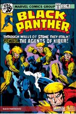 Black Panther (1976) #12