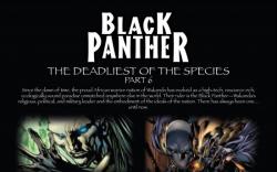 BLACK PANTHER #6, intro page