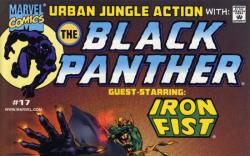 Black Panther #17